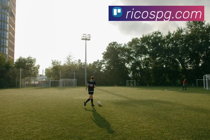 pg官网平台生态图