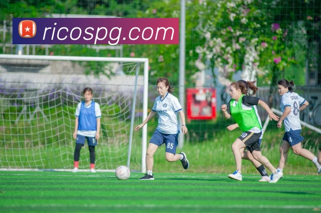 pg官网APP 封面图